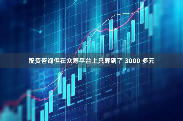 配资咨询但在众筹平台上只筹到了 3000 多元